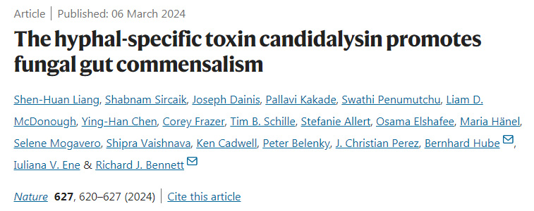 菌絲特異性毒素念珠菌素促進(jìn)真菌腸道共生 菌絲特異性毒素念珠菌素促進(jìn)真菌腸道共生