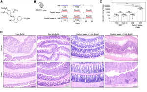 食品中廣泛使用的誘惑紅和落日黃，會誘導和加速結腸炎發(fā)展！