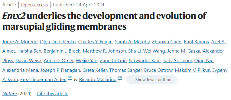 Emx2是有袋類滑翔膜發(fā)育和進(jìn)化的基礎(chǔ)