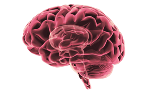 Nature Medicine：重新認識APOE4和阿爾茨海默病