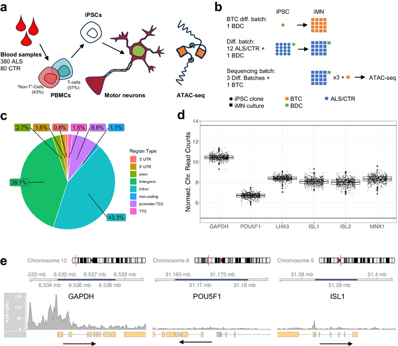 應(yīng)答ALS ATAC序列數(shù)據(jù)