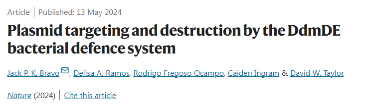 DdmDE細菌防御系統(tǒng)對質(zhì)粒的靶向和破壞 DdmDE細菌防御系統(tǒng)對質(zhì)粒的靶向和破壞