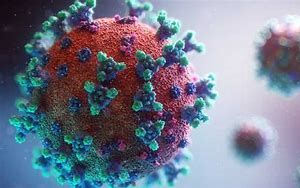 5天治愈90%重癥？減少70%新冠病毒感染？治療新冠特效藥怎么區(qū)分