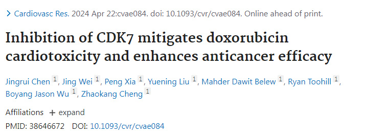 抑制細(xì)胞周期蛋白依賴性激酶7減輕阿霉素的心臟毒性并增強抗癌功效 抑制細(xì)胞周期蛋白依賴性激酶7減輕阿霉素的心臟毒性并增強抗癌功效