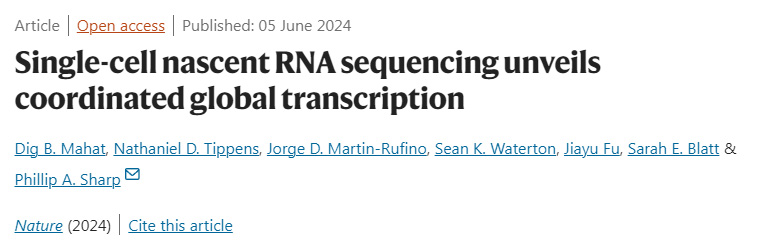 單細胞新生RNA測序揭示協(xié)調(diào)的全球轉(zhuǎn)錄 單細胞新生RNA測序揭示協(xié)調(diào)的全球轉(zhuǎn)錄