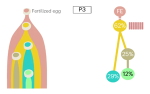 Nature Biotechnology：精確測量癌癥的進(jìn)化，定義分析腫瘤基因組成的最佳算法