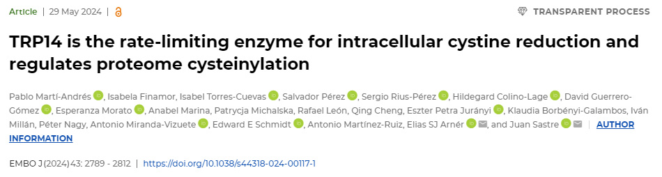 TRP14是細胞內(nèi)胱氨酸減少的限速酶，并調(diào)節(jié)蛋白質(zhì)組半胱氨酸化