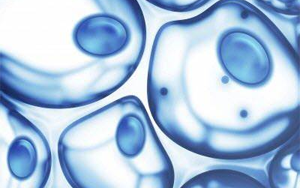 Nature子刊：B細胞可能是治療癌癥和艾滋病毒的鑰匙