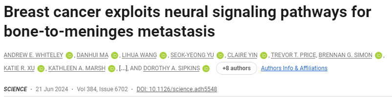乳腺癌利用神經(jīng)信號通路進(jìn)行骨轉(zhuǎn)移 乳腺癌利用神經(jīng)信號通路進(jìn)行骨轉(zhuǎn)移
