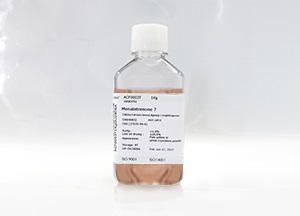 SeeBM02 CHO基礎(chǔ)培養(yǎng)基(液體)