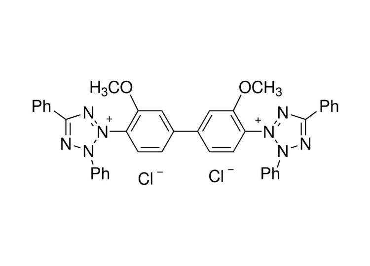 四氮唑藍(BT) 四氮唑藍(BT)